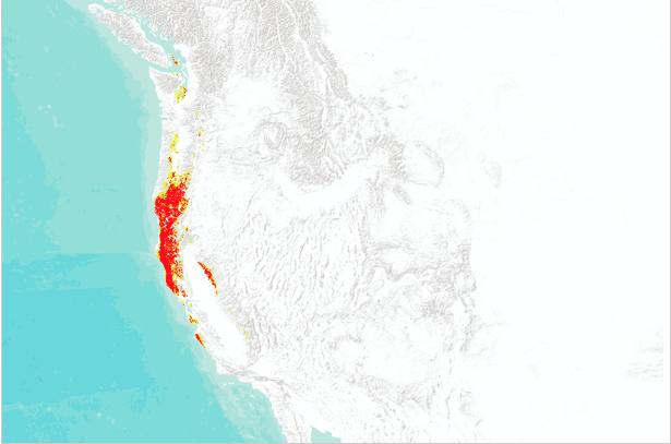 red spots are shown throughout the south of Oregon and the north of California with one interior red spot. the rest of the spots are yellow, indicating lower viability for healthy trees.