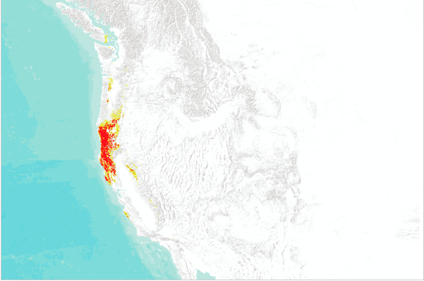 A smaller area of red is shown with more yellow around the edges