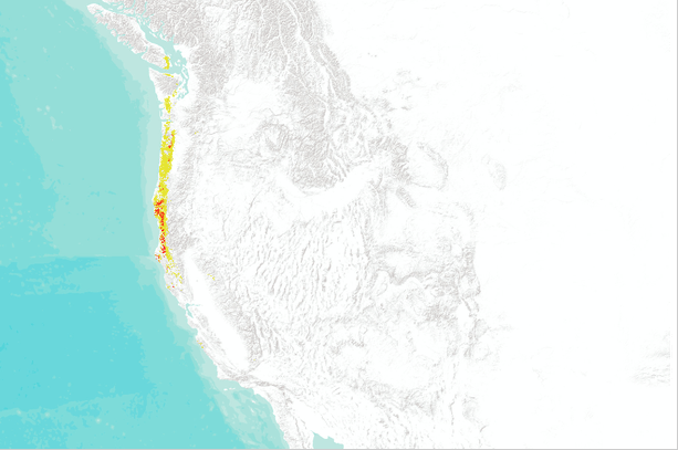 the area of viability has narrowed significantly and is more yellow than red. No red areas are left inland.