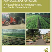 link to Practical SOD Guidelines for nurseries and garden centers