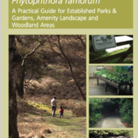 link to SOD Management in Parks and Gardens by Defra