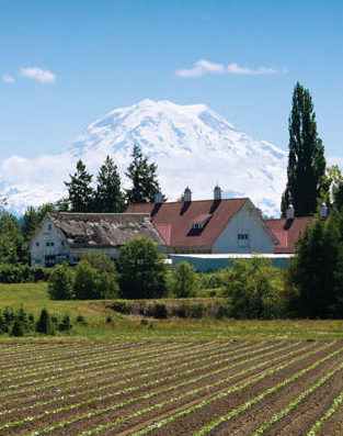 a building with its roof caving in and red-roofed white building with Mount Rainier looming in the background