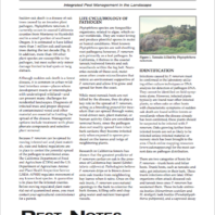 link to Integrated Pest Management for Sudden Oak Death