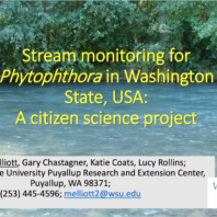 Stream monitoring Presentation Cover