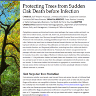 link to Information for protecting trees from SOD before infection from University of California