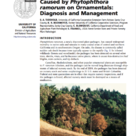 link to Nursery guide for diagnosis and management of diseases caused by Phytophthora ramorum