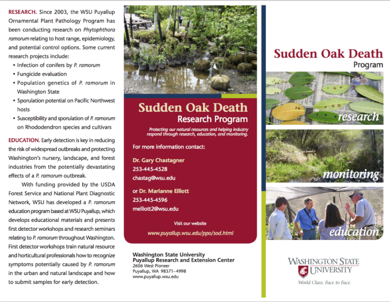 link to Sudden Oak Death Research: Streams