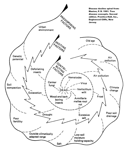 a spiral showing the contributing, inciting, and predisposing factors of disease decline of trees