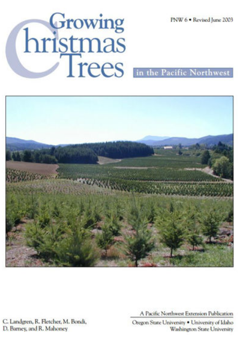 link to "Growing christmas trees in the Pacific Northwest" above