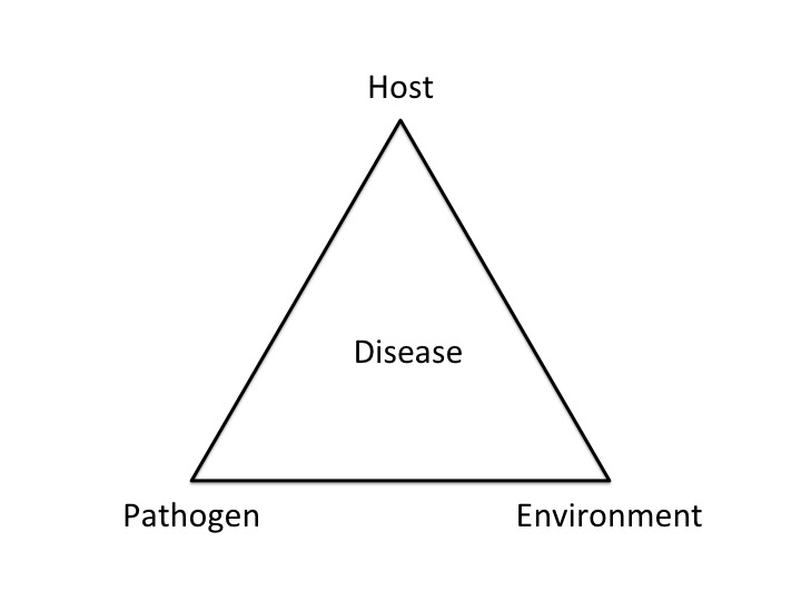 the word "disease" inside a triangle. at the points of the triangle are the words: host, environment, pathogen