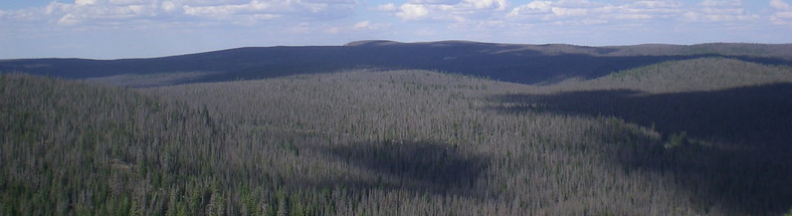 panorama of forested rolling hills from above. shadows from the clouds darken some areas.