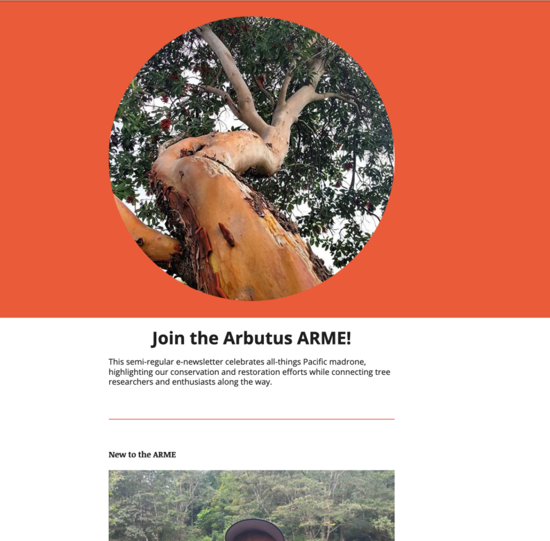 link to the most recent issue of the newsletter