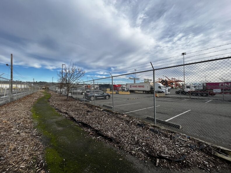 a mossy path edged with wood chips between two fences. on the left appears to be a railing and to the right is a parking lot