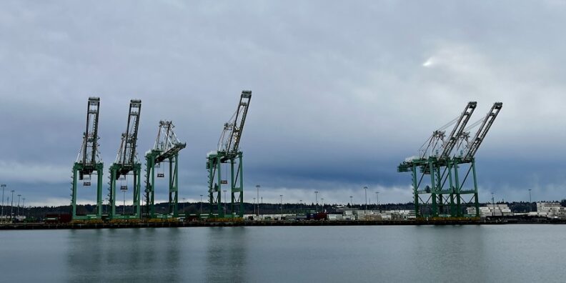 large green machines used to move shipping containers at the Port of Tacoma