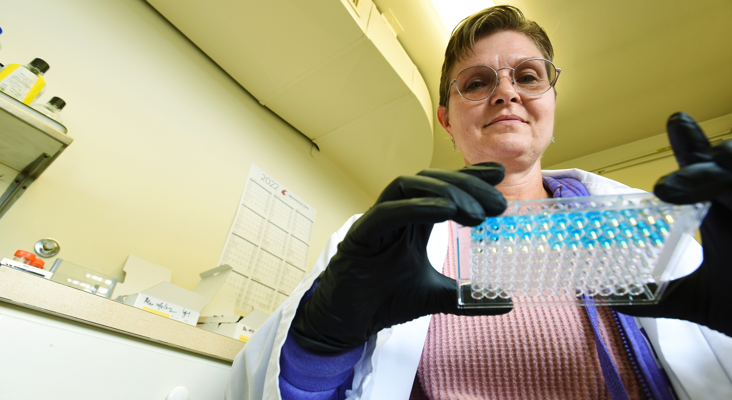 Person in a lab holding a sample tray.