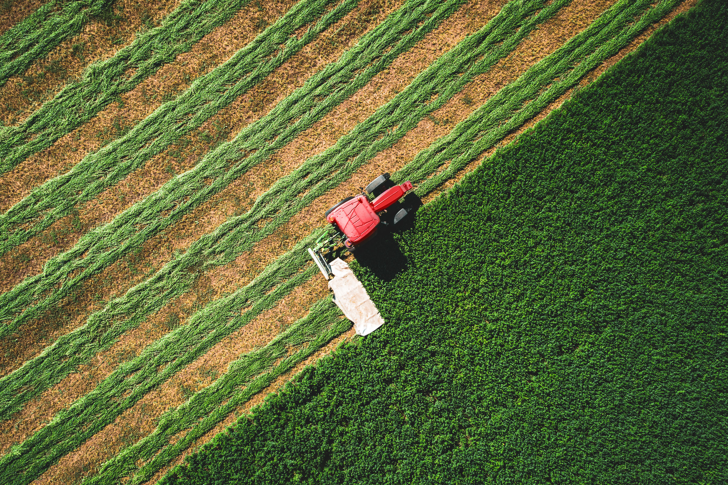 Center for Sustaining Agriculture and Natural Resources (CSANR)