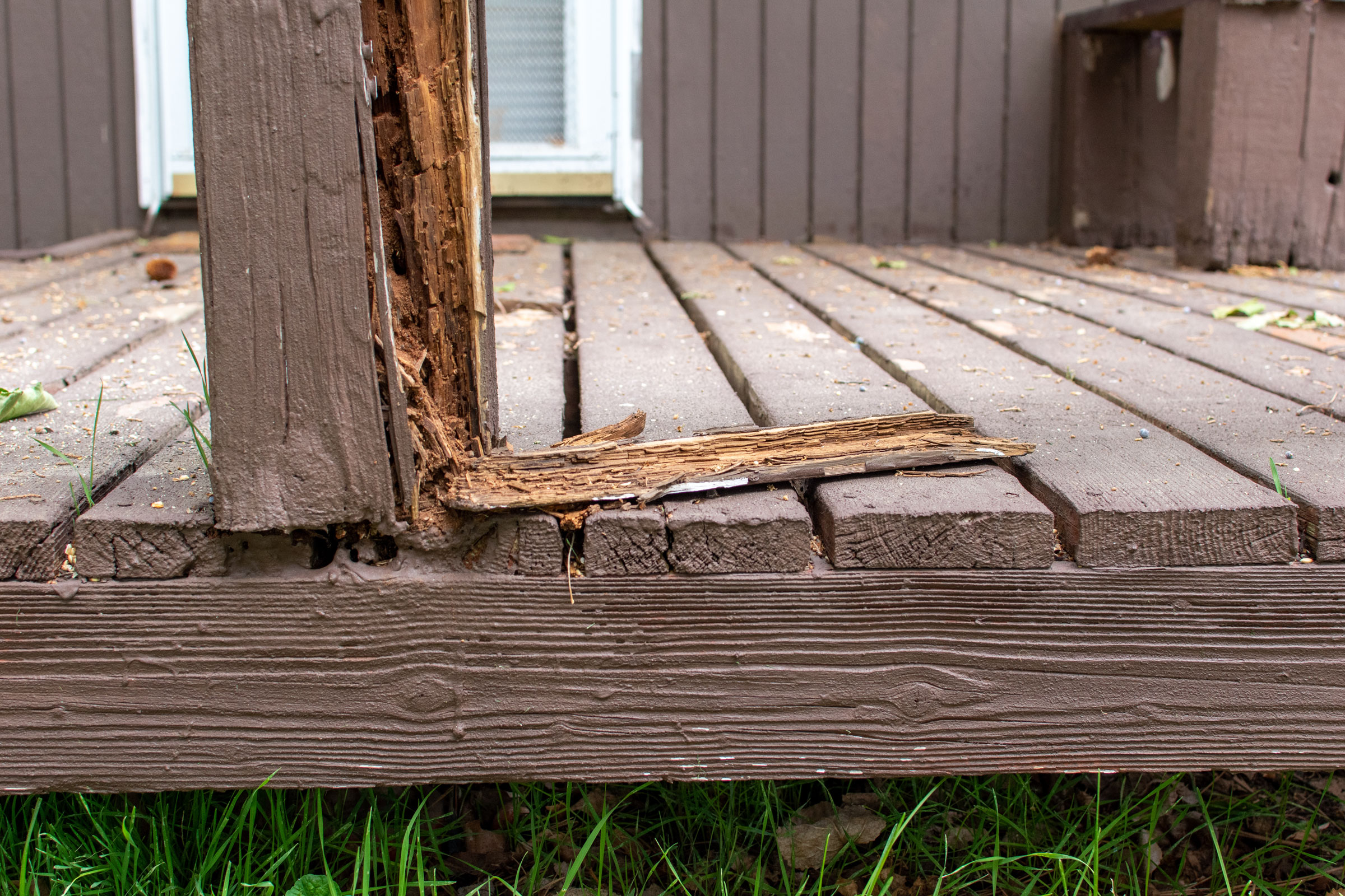 WSU Structural Pest IPM 