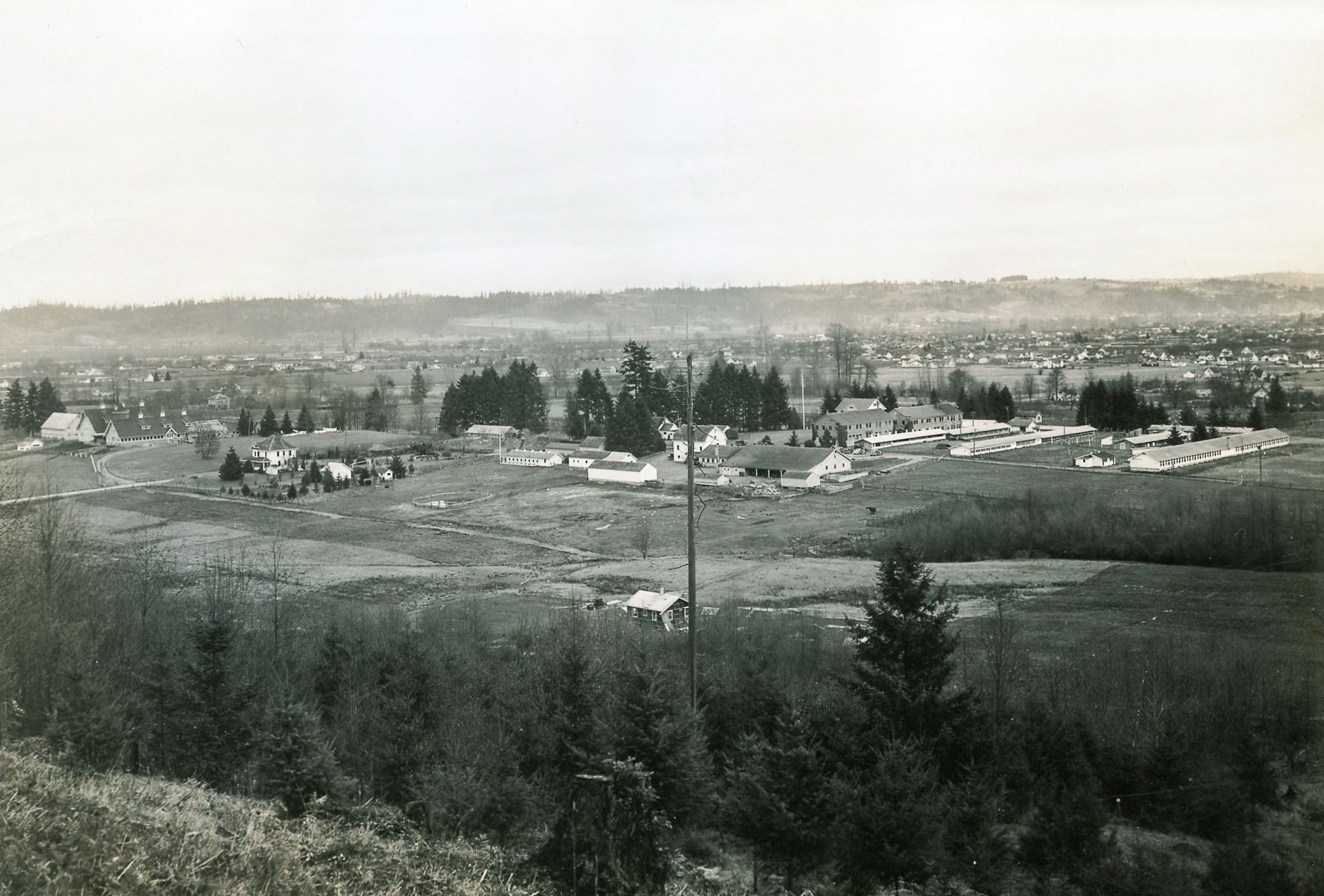 Buildings and farmland as viewed from a hillside.