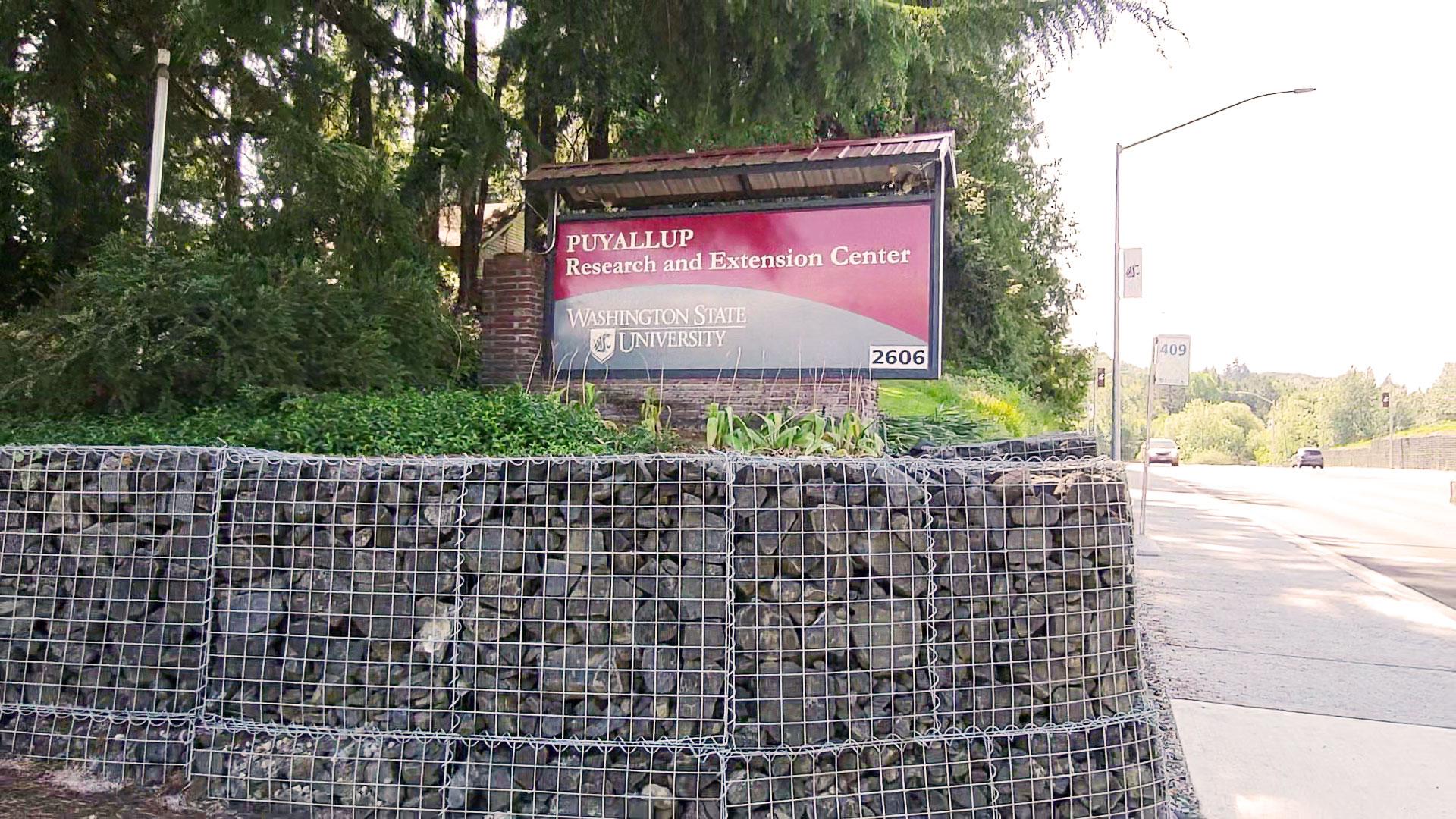 Sign next to a roadway. "PUYALLUP Research and Extension Center. Washington State University. 2606."