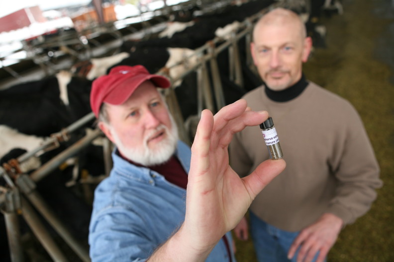 Dr. Joe Harrison holds a vial of phosphorus extracted from manure.