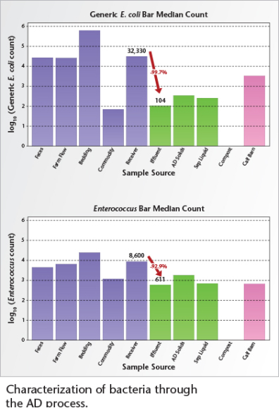 Bar graph characterizing bacteria through the AD process