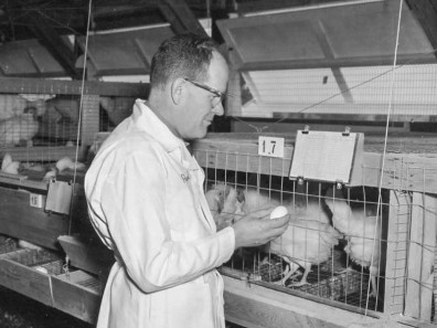 Man holding egg examines records in front of chicken cage.
