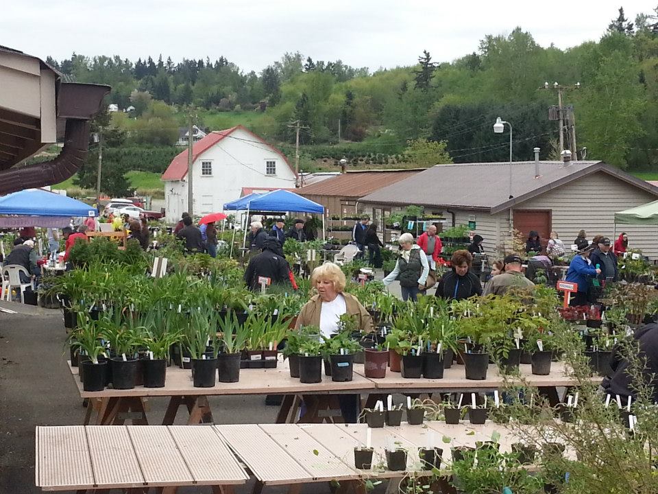 Plants arranged on tables as shoppers browse.