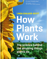 Cover of "How Plants Work."
