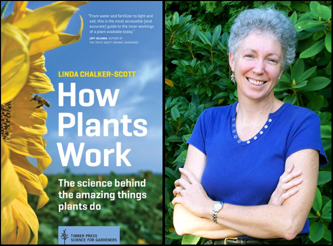 Linda Chalker-Scott and her book, How Plants Work.
