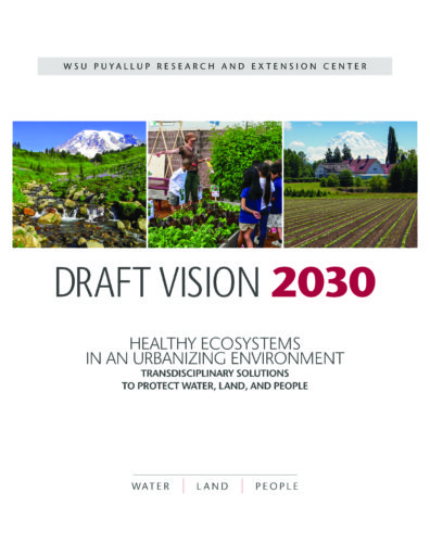 Draft Vision 2030