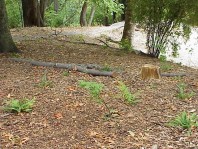 The site in fall 2002.