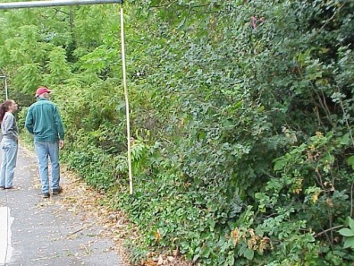 The site prior to our installation work.