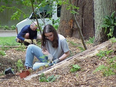 Digging holes to install the new plants.