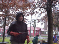 Restorative pruning of existing plants.