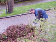 Stacks of weeds awaiting composting.