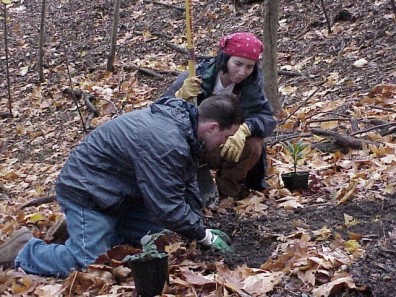 Digging a hole twice as wide as, but no deeper than, the plant's root system.