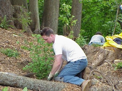 Installing new plants.