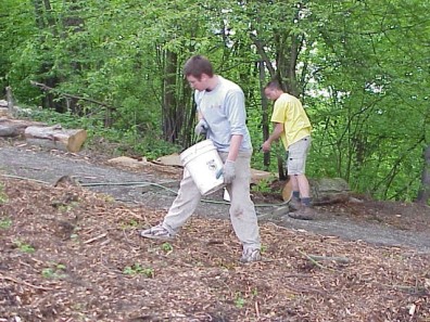 Watering the plants in to help them establish.