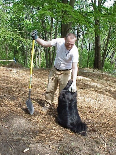 Kuma, our canine helper.