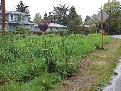 The site prior to renovation.