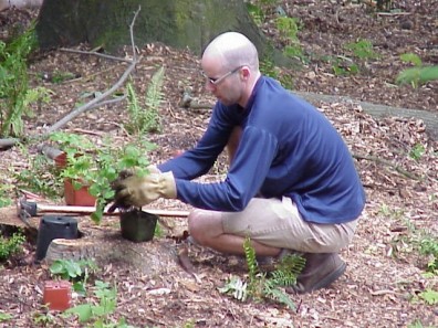 Removing potting soil prior to installation, which will reduce soil interface problems and enhance plant establishment.