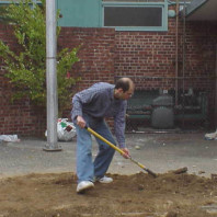 Filling in the big bed with soil and reshaping the planting mounds.