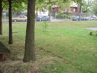 The site prior to renovation.