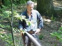 Watering the plants in to help them establish.
