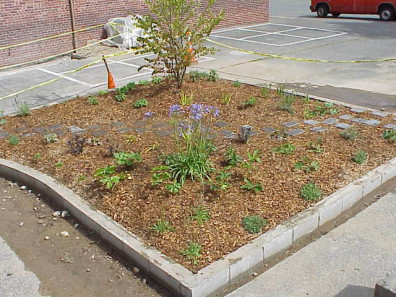 The finished big bed.