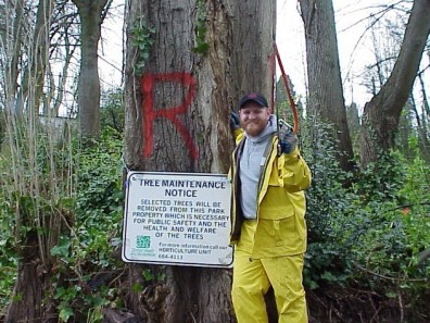 Hazardous trees marked for removal.