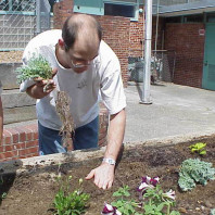 Preparing a plant for installation.
