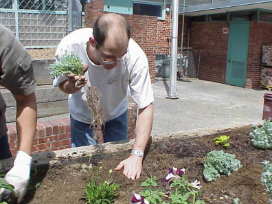 Preparing a plant for installation.
