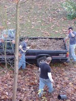 Mulch delivery.