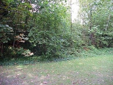 The site prior to our installation work.